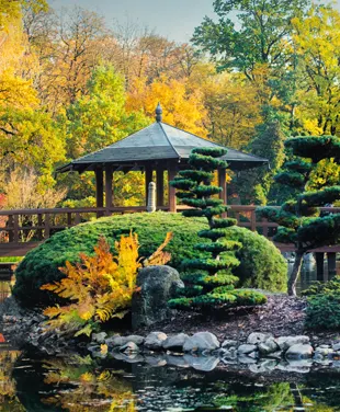 LE JARDIN JAPONAIS